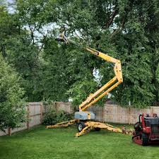 Best Lawn Drainage Solutions  in Perry, FL