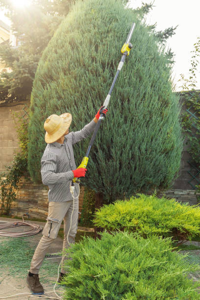 Best Grass Overseeding  in Perry, FL